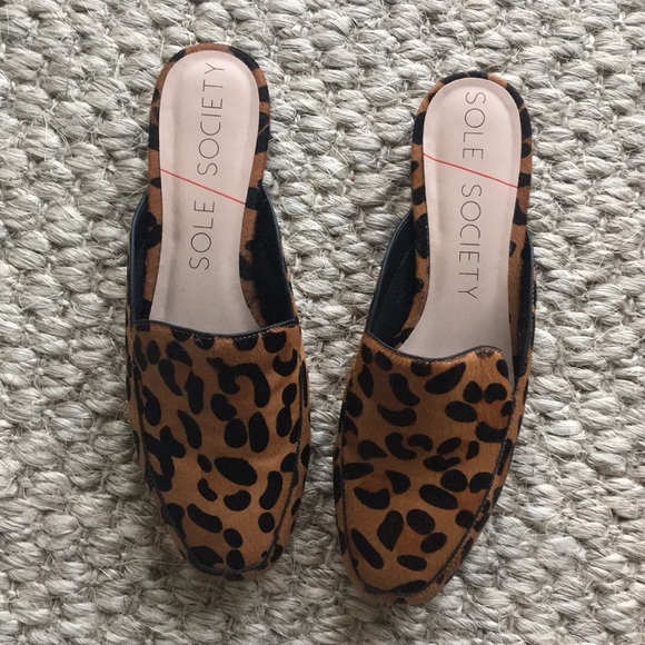 sole society leopard mules